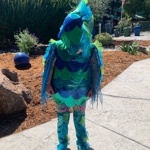 Chasing fireflies fish costume
